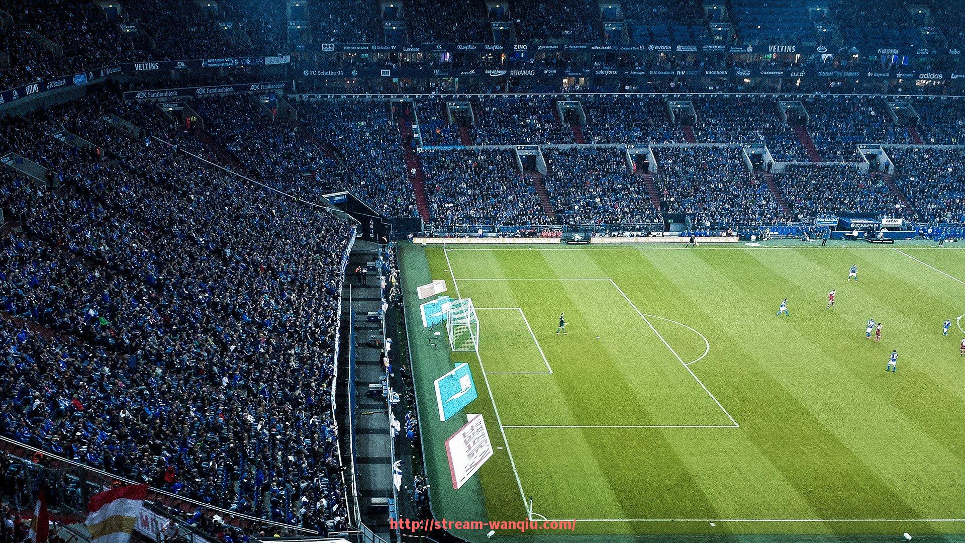 玩球直播-小型力量型健身器材的选购与使用技巧