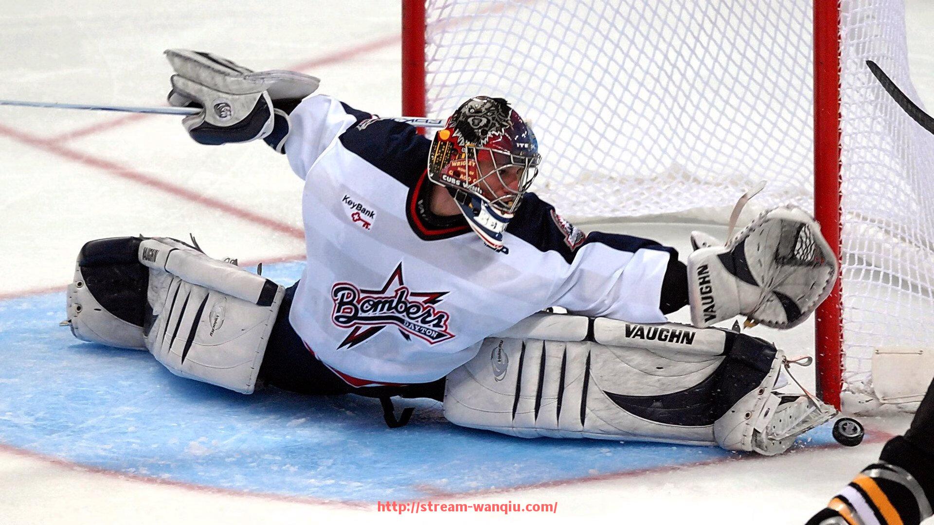 玩球直播-自制多功能健身器材：DIY健身器材创意和方法